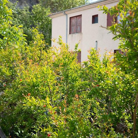 Jasmine House By Panagia Of Petra Apartment Екстериор снимка
